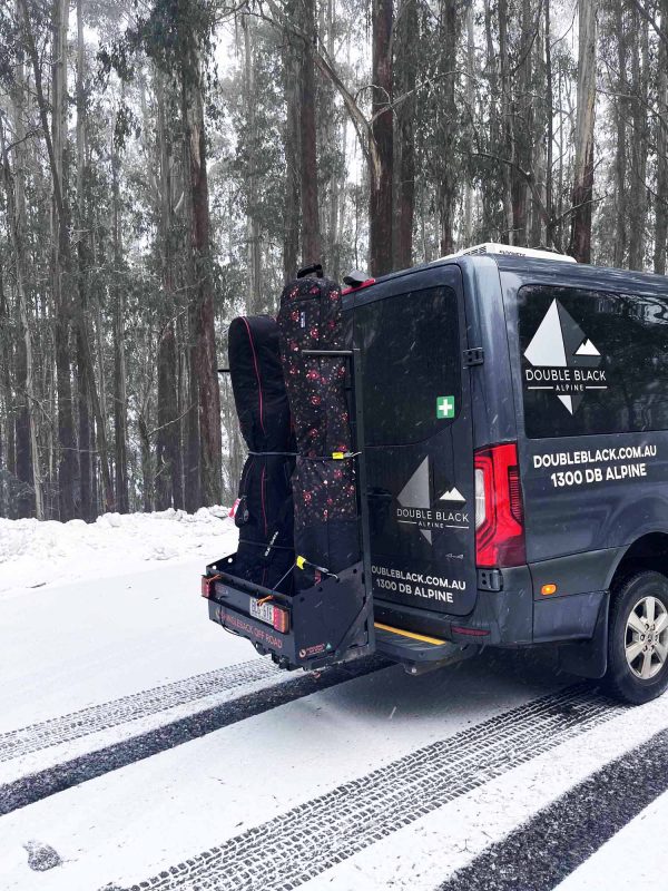 Shingleback Caddy behind Mercedes Van