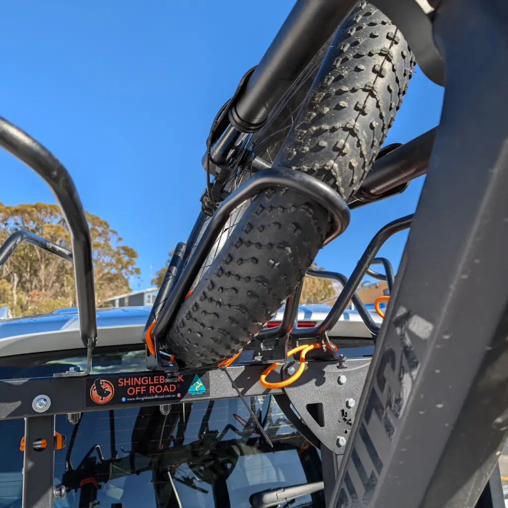 Shingleback Rack carrying fat bike tyre