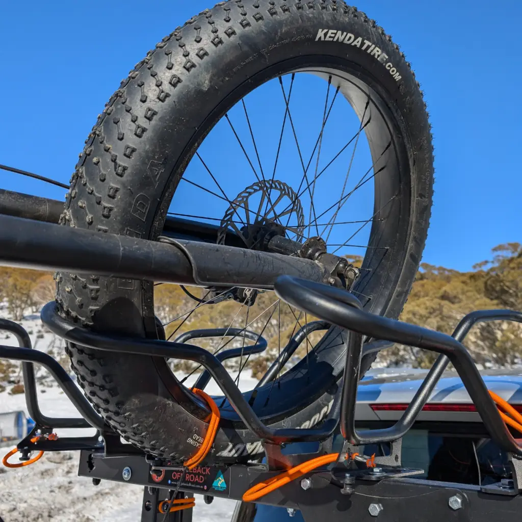 Shingleback Rack carrying fat bike tyre